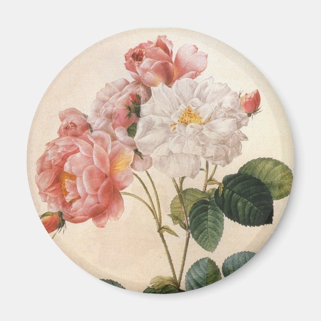 Vintage Art Pink Rose Flower Refrigerator Magnet (Front)