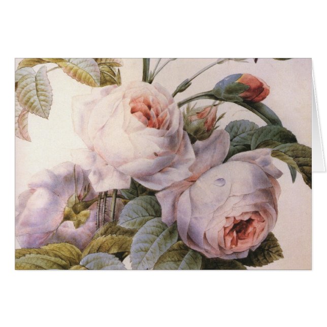 Vintage Art Rose Carnation Flower Greeting Card (Front Horizontal)