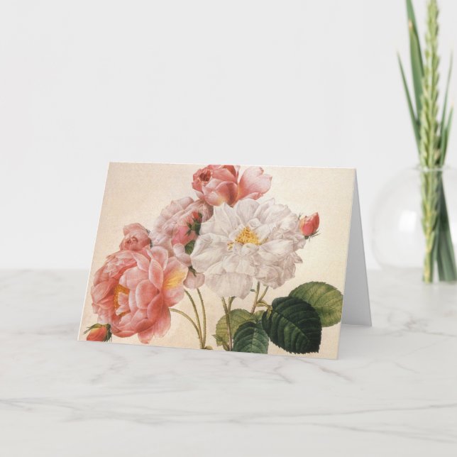 Vintage Art Rose Flower Greeting card (Front)