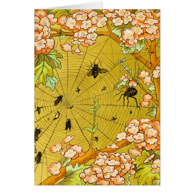 Vintage Art Spider web in flowering tree (Front)