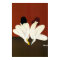 Vintage Art Villemot/ Bally Lotus Poster Print