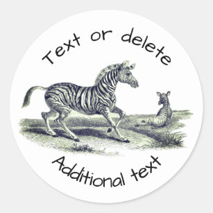 Vintage Art Zebra And Foal Personalised Classic Round Sticker
