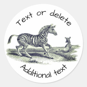 Vintage Art Zebra And Foal Personalised Classic Round Sticker