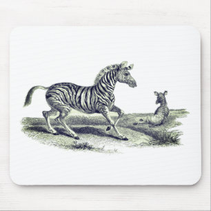 Vintage Art Zebra And Foal Wildlife  Mouse Pad