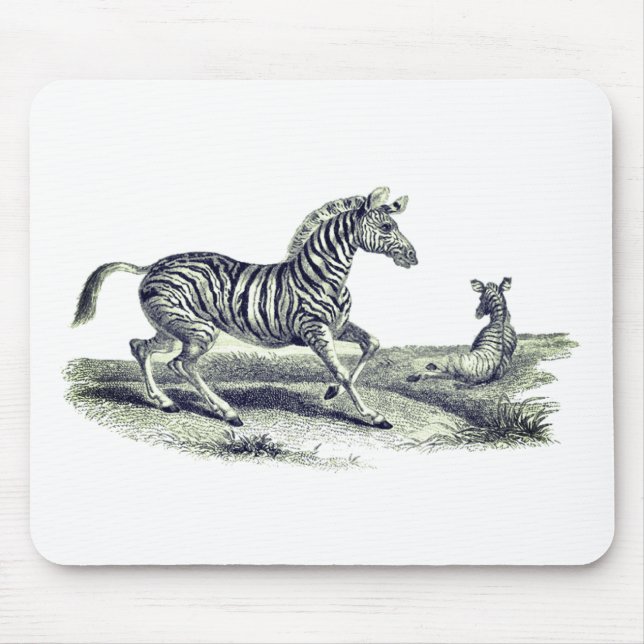 Vintage Art Zebra And Foal Wildlife  Mouse Pad (Front)