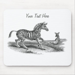 Vintage Art Zebra Mare And Foal Wildlife Mousepad