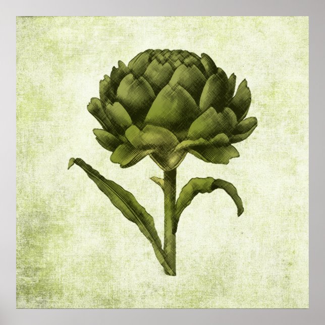 Vintage Artichoke Poster (Front)