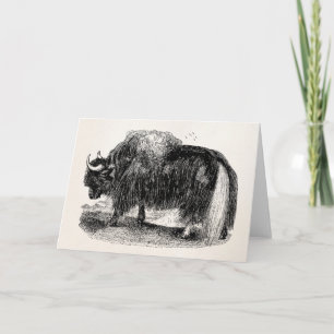 Vintage Asian Yak Retro Yaks Animal Illustration Card
