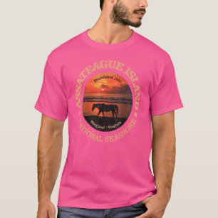 Vintage Assateague Island National Seashore Rd T-Shirt