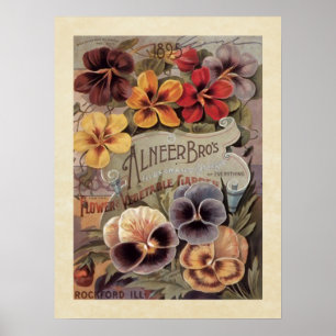 Vintage Assorted Pansies Seed Packet Poster