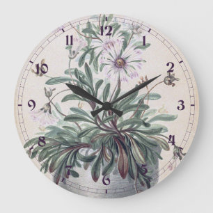 Vintage Asters in a Pot Large Clock