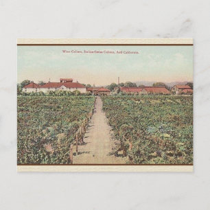 Vintage Asti California Wine Cellars Post Card
