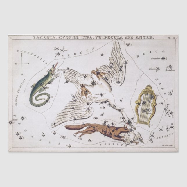 Vintage Astronomical Celestial Map Tissue Paper (Front)