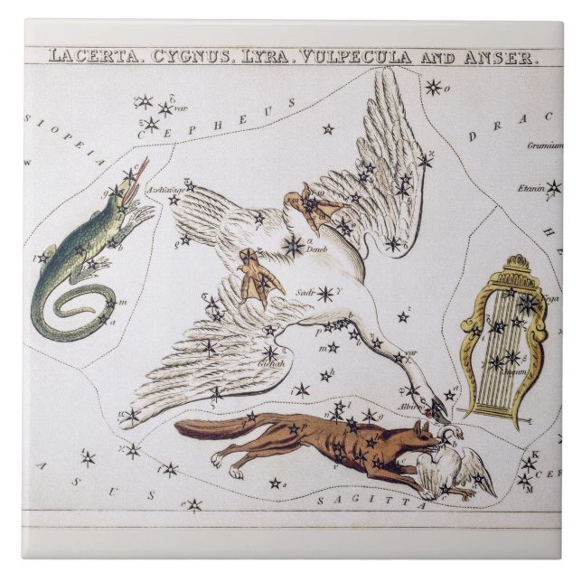 Vintage Astronomical Map of Lacerta, Cygnus, Lyra Tile (Front)