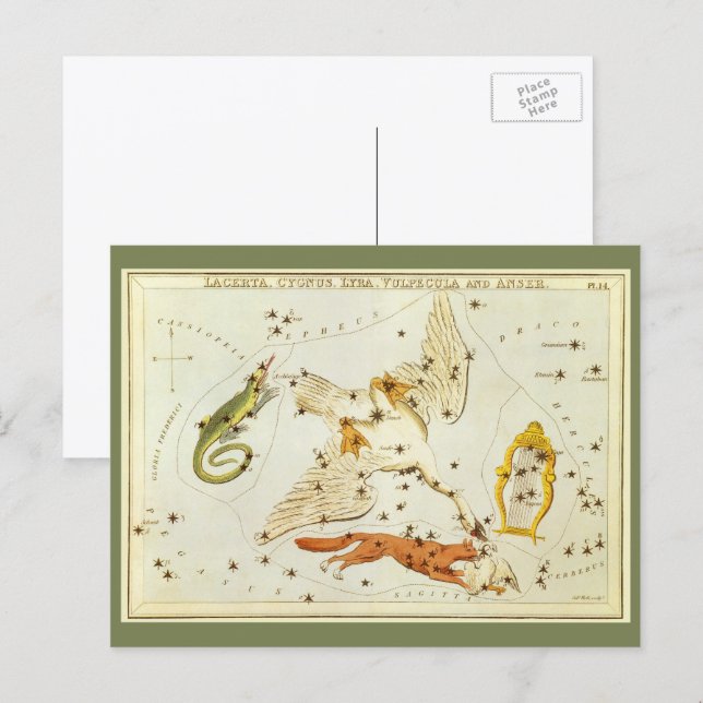 Vintage Astronomy, Constellations Stars Chart Map Postcard (Front/Back)