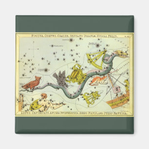 Vintage Astronomy, Hydra Snake Constellation Stars Magnet