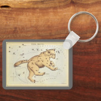 Vintage Astronomy, Ursa Major Constellation, Bear