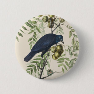 Vintage Audubon American Crow Bird Nature Art 6 Cm Round Badge