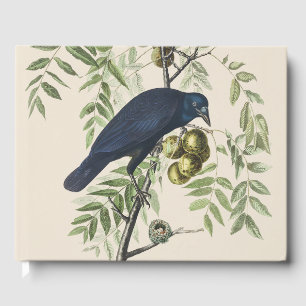 Vintage Audubon American Crow Bird Nature Art Guest Book