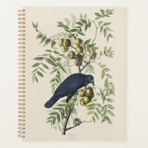 Vintage Audubon American Crow Bird Nature Art Planner