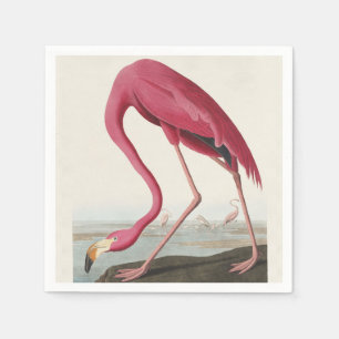 Vintage Audubon American Flamingo Pink Bird Art Napkin