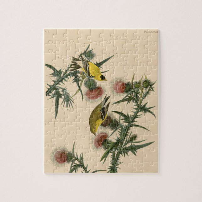 Vintage Audubon American Goldfinch Bird Painting Jigsaw Puzzle (Vertical)