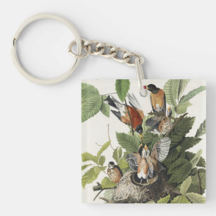 Vintage Audubon American Robin Bird Nest Art Key Ring