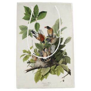 Vintage Audubon American Robin Bird Nest Art Medium Gift Bag