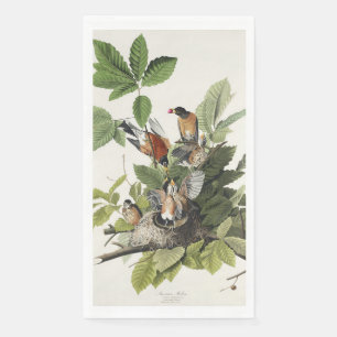 Vintage Audubon American Robin Bird Nest Art Napkin