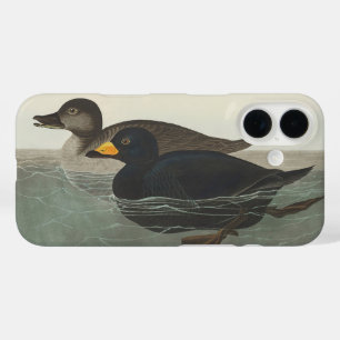 Vintage Audubon American Scoter Duck Bird Art iPhone 16 Case