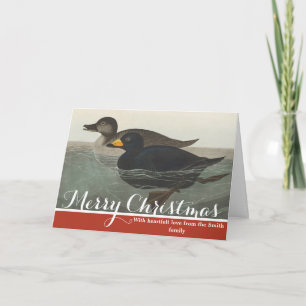 Vintage Audubon American Scoter Duck Bird Art Holiday Card