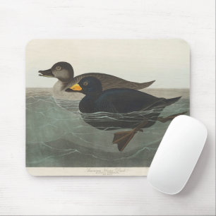 Vintage Audubon American Scoter Duck Bird Art Mouse Pad