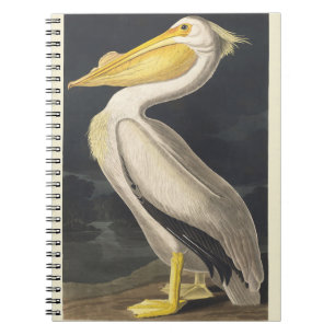 Vintage Audubon American White Pelican Bird Art Notebook