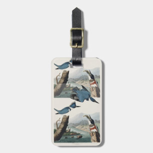 Vintage Audubon Belted Kingfisher Bird Art Luggage Tag