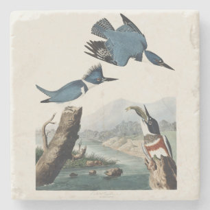 Vintage Audubon Belted Kingfisher Bird Art Stone Coaster