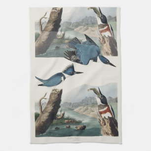 Vintage Audubon Belted Kingfisher Bird Art Tea Towel