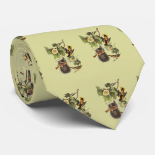 Vintage Audubon Birds Troupial Orioles Tie