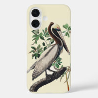Vintage Audubon Brown Pelican Coastal Bird Art