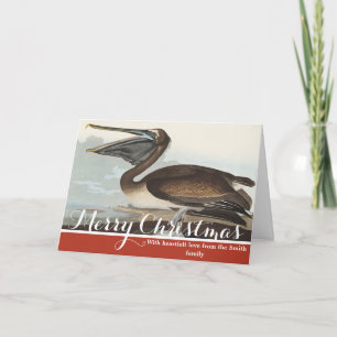 Vintage Audubon Brown Pelican Coastal Bird Art Holiday Card