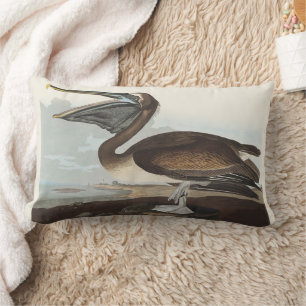 Vintage Audubon Brown Pelican Coastal Bird Art Lumbar Cushion
