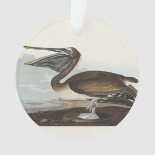 Vintage Audubon Brown Pelican Coastal Bird Art Ornament