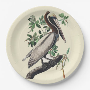 Vintage Audubon Brown Pelican Coastal Bird Art Paper Plate