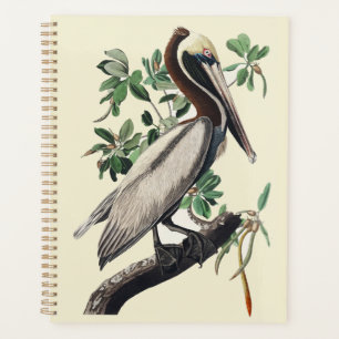 Vintage Audubon Brown Pelican Coastal Bird Art Planner