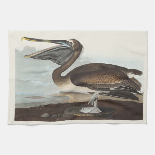 Vintage Audubon Brown Pelican Coastal Bird Art Tea Towel