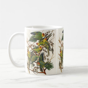 Vintage Audubon Carolina Parakeet Bird Art Coffee Mug