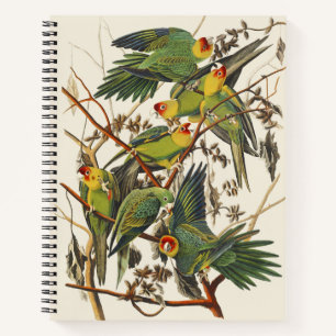 Vintage Audubon Carolina Parakeet Bird Art Notebook