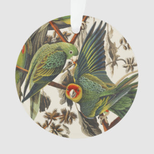 Vintage Audubon Carolina Parakeet Bird Art Ornament