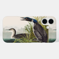 Vintage Audubon Common Loon Bird Nature Art
