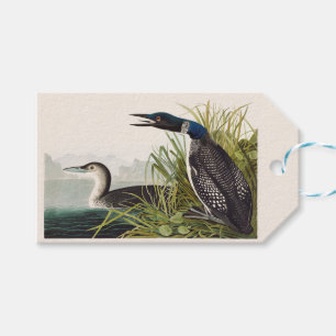 Vintage Audubon Common Loon Bird Nature Art Gift Tags