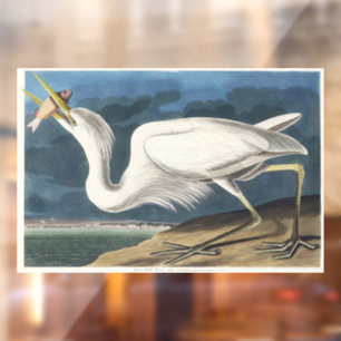 Vintage Audubon Great White Heron Bird Art